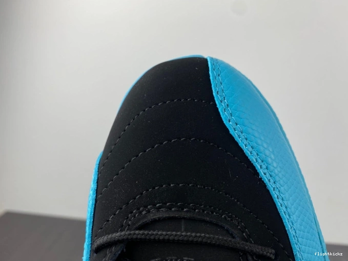 130690-027 Blue Retro 12 Jordan Gamma 0905